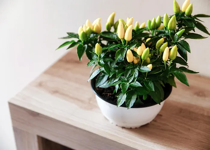 Apartamento La Casa Di Ale - Downtown Como