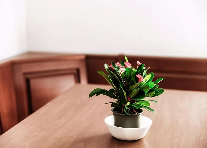 La Casa Di Ale - Downtown